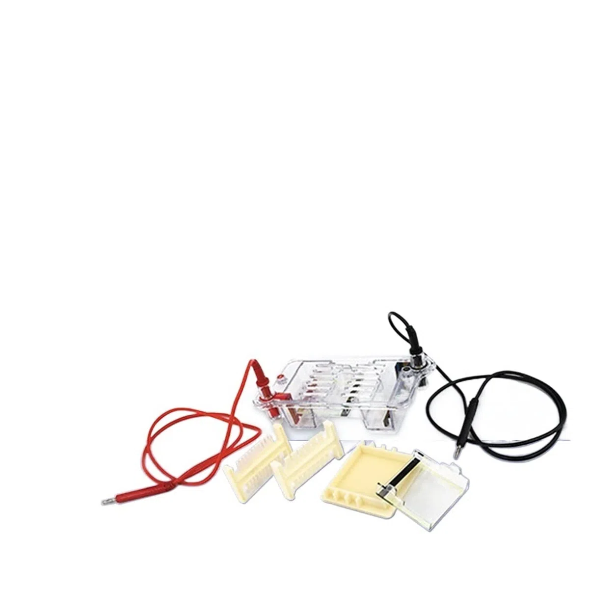Equipo Electroforesis, Tanque De Electroforesis Prueba Biomolecular Laboratorio Instrumento Horizontal Agarosa DYCP-31BN