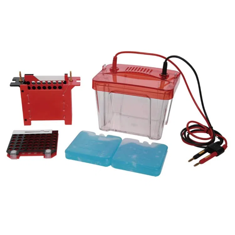 LF-ZY03 Pequeño Tanque De Electroforesis De Transferencia Instrumento De Electroforesis De Transferencia De Proteínas